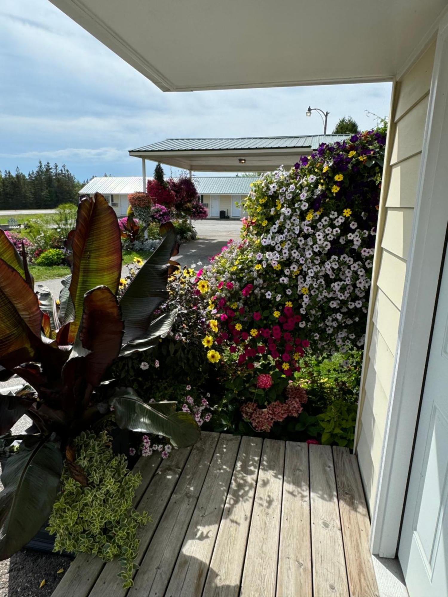 Sunset At Armand's Gardens Saint Ignace