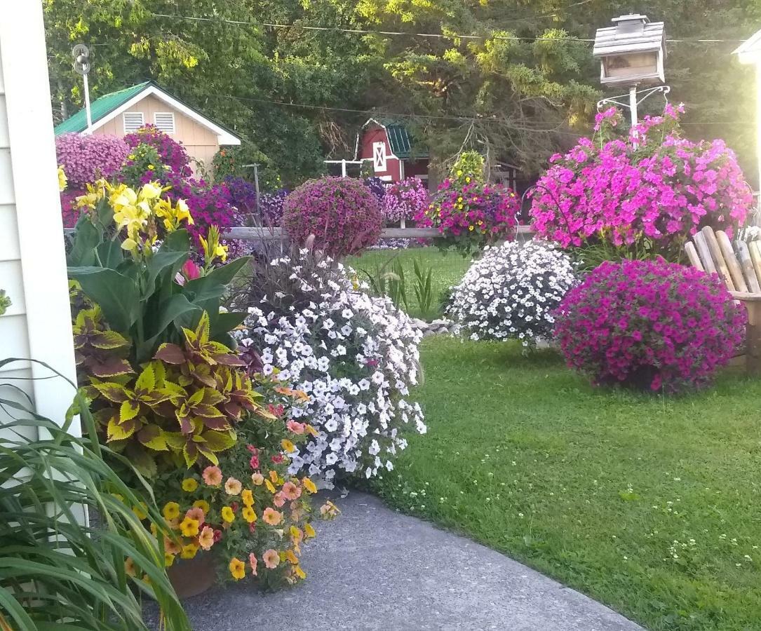 Sunset At Armand's Gardens